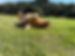 IMG_3730.jpeg