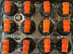Owl Halloween Cupcakes