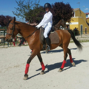 Exámenes de galopes 5 y 6