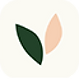 Vera 1.png