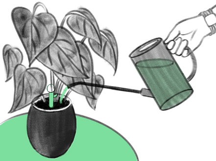 未命名作品 11.png