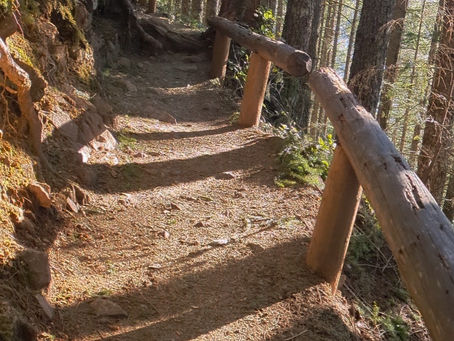 Spring-like conditions in late-January