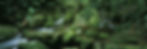 184071_4614328835791_1945854767_n.jpg