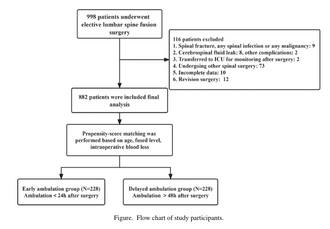 Safety and benefit of ambulation within 24 hours in elderly patients undergoing lumbar fusion: propensity score matching study of 882 patients