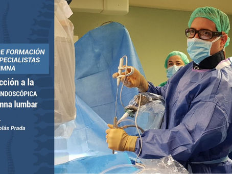 Curso de formación en cirugía endoscópica de columna lumbar: iniciación