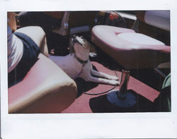 polaroid series