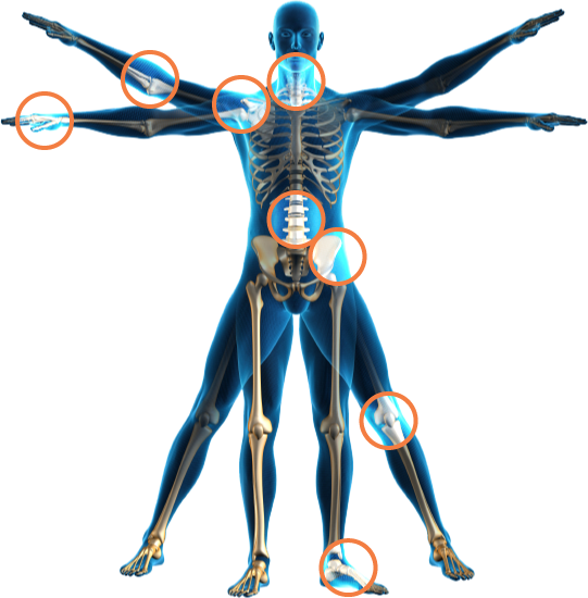 body_skeleton.png