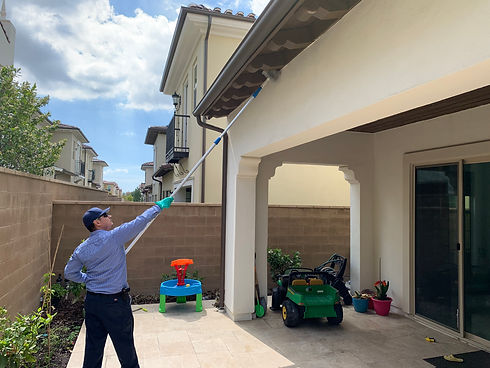 spider-web-removal-pest-control.jpg