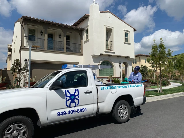 Best Pest Control Orange County Ca Strategic Termite Pest Control