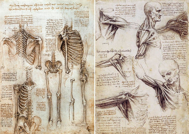 DaVinci skeleton.jpg