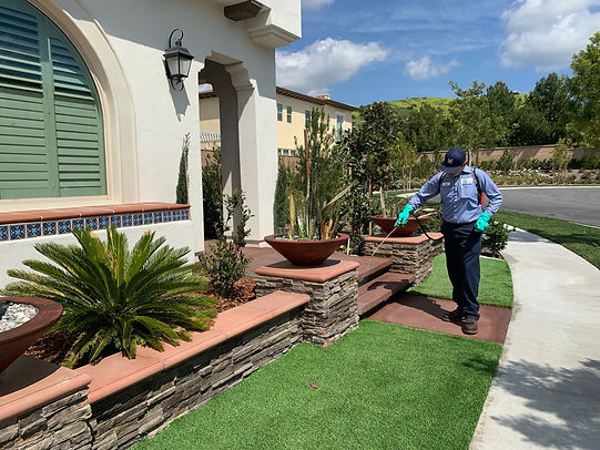 residential-eco-friendly-pest-control-service-technician-with-strategic