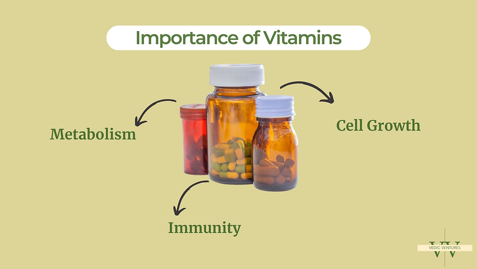 Importance of Vitamin