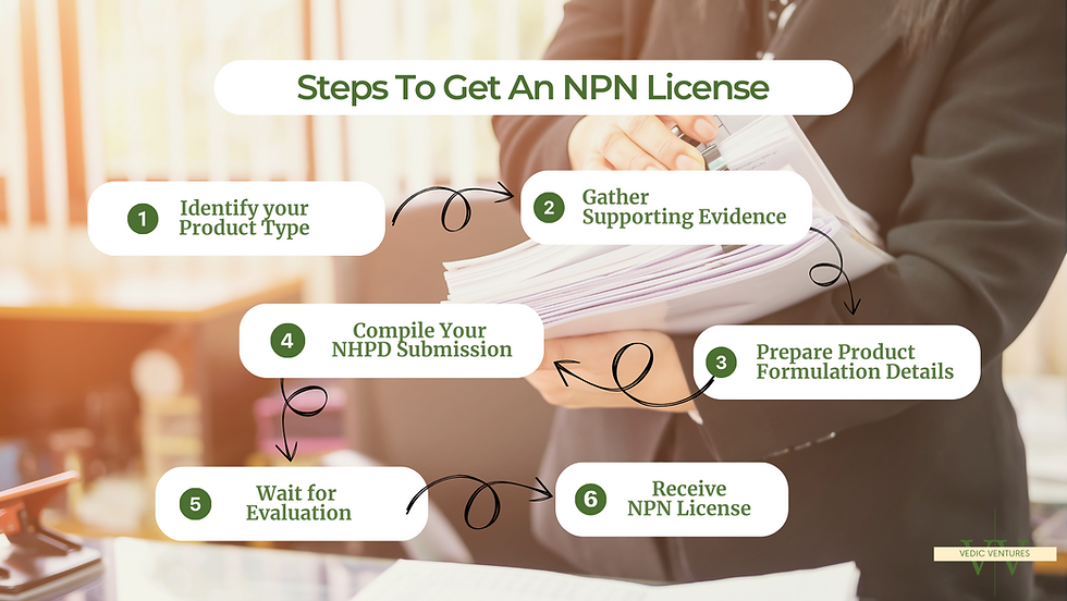 Steps To Get An NPN License