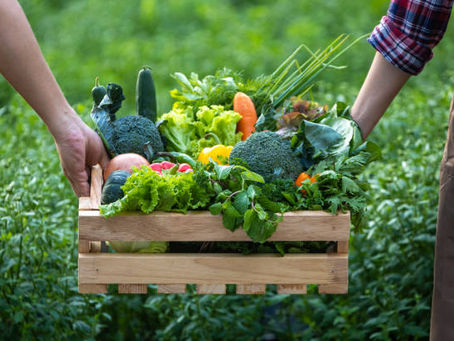 Farm-to-Table 101: Growing, Cooking, and Living Closer to Nature