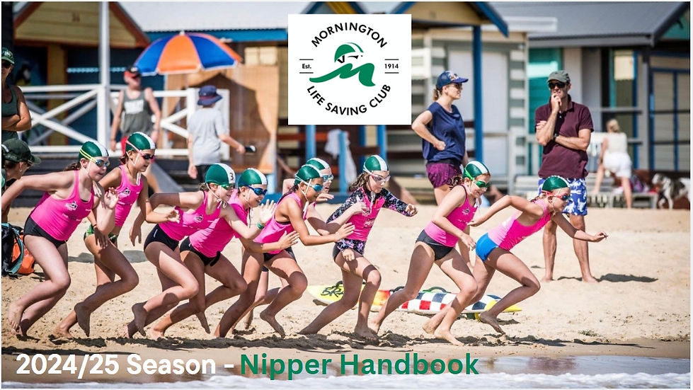 Nipper handbook cover 24 25.jpeg