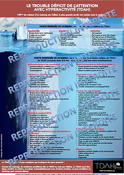 Infographie ICEBERG v5 - Repro interdite