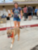 DOGGY DAY OUT, Saturday 8/15/26