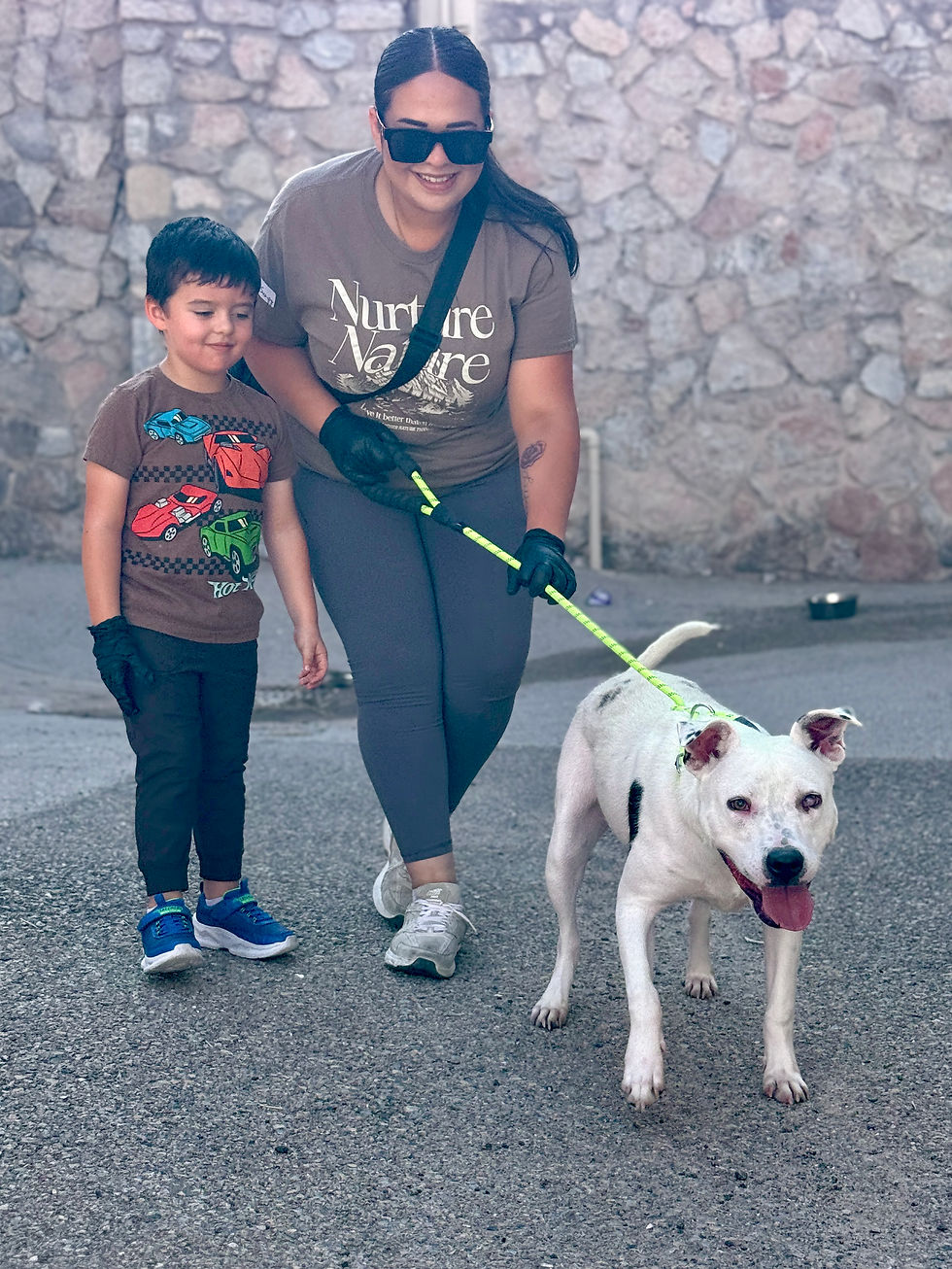 Westside Rescue Runners 7/12/26, 7:30am @ 5625 Confetti Dr.