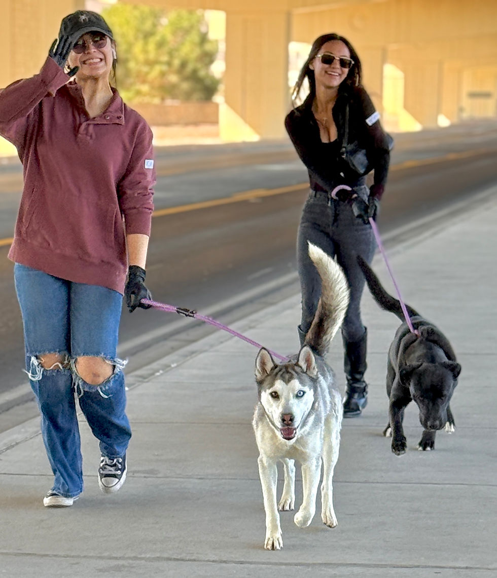 Rescue Runners 3/1/26, 8am @ EPAS Main Shelter