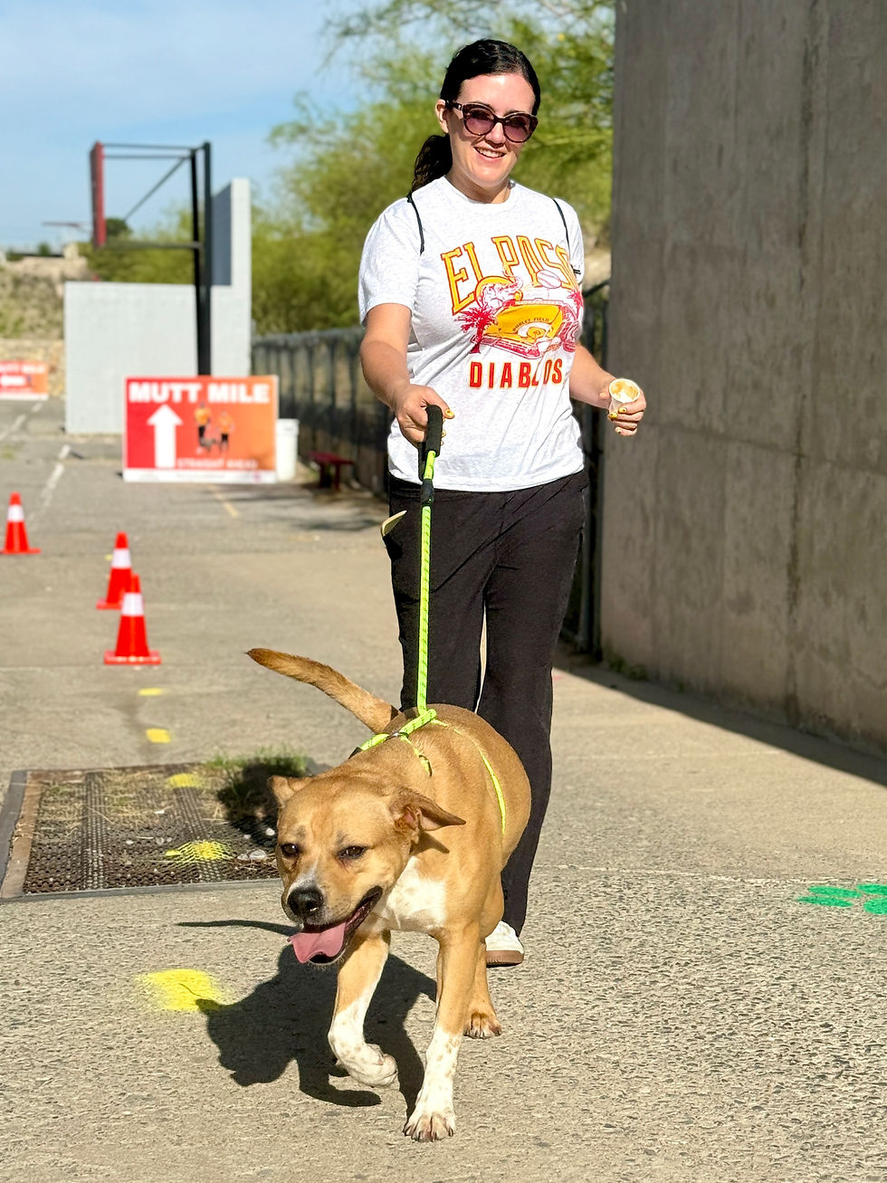 Westside Rescue Runners 7/26/26, 7:30am @ 5625 Confetti Dr.