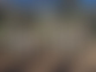 Metropolitan Merit badge weekend & Camping @ Camp Verdugo Oaks