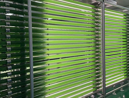 Weixin Image_20250601182435.jpg