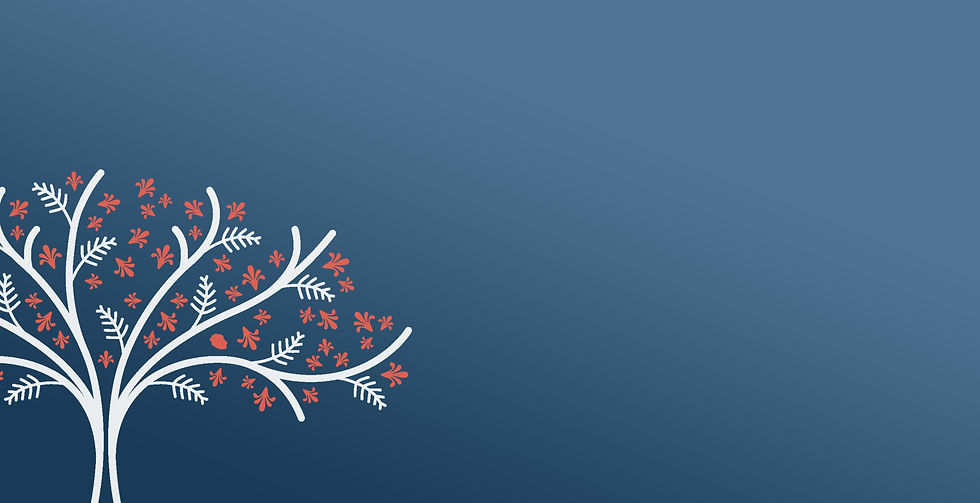 FlambloyantBleuBackground.jpg