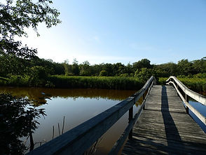 Minuteman Bike Trail