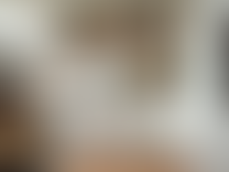 Premium Kitchen Cabinets in the Greater Toronto Area