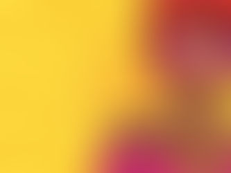 Omitir informações para Corretor de Seguros pode fazer cliente perder direito a indenização.