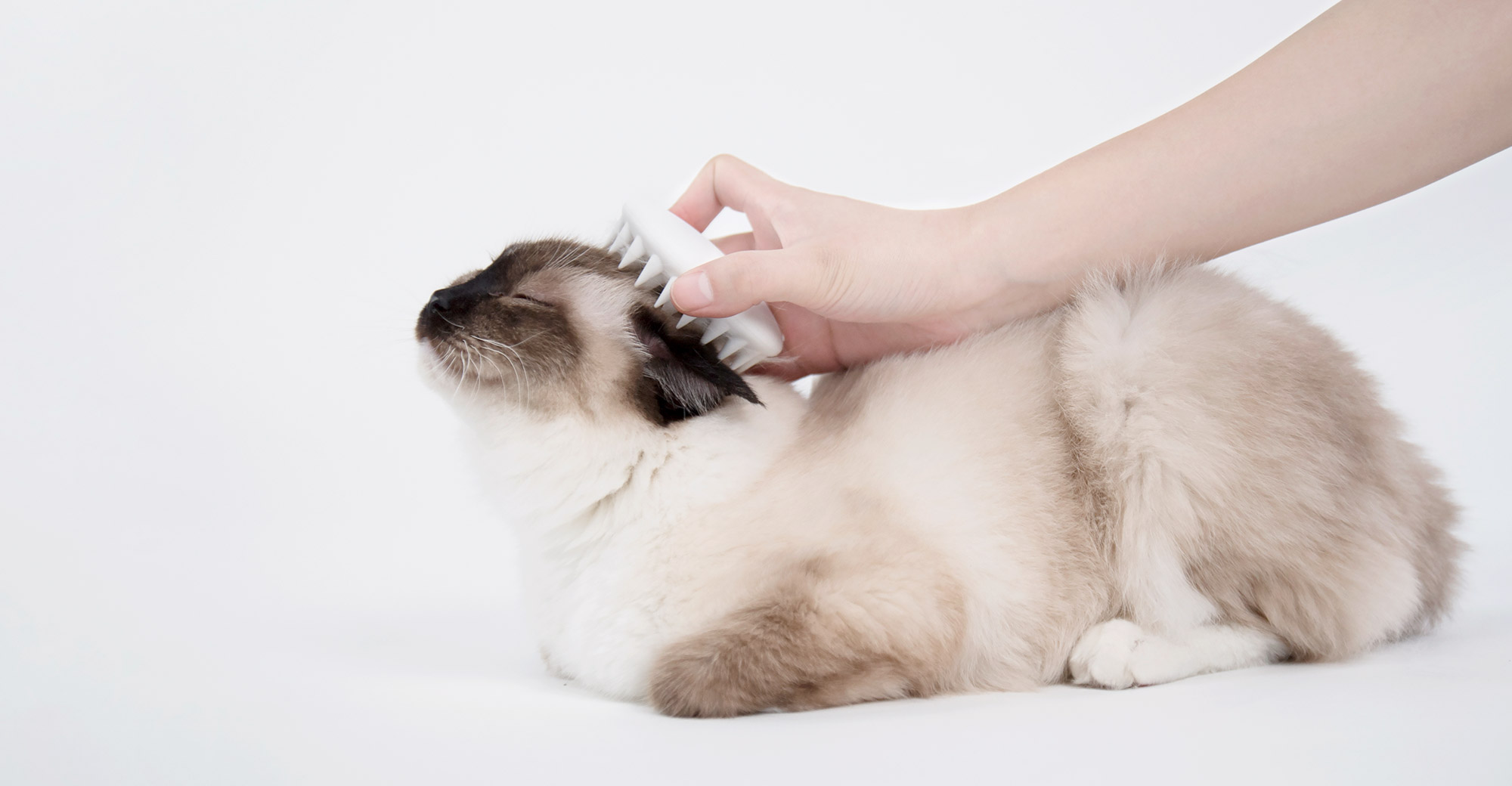 PETKIT | Smart Pet Supplies