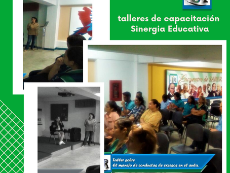 talleres de capacitación Sinergia Educativa