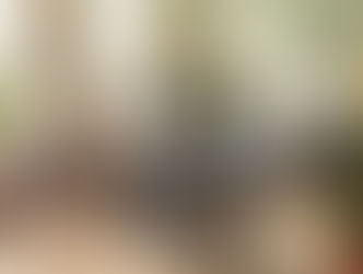 An Essential Guide to Understanding Disability Support Services