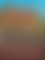 House Stump Replacement