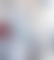 Building and Pest Inspection