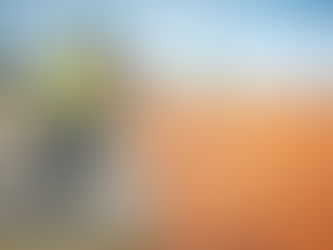 Roofing Maintenance Tips to Extend Your Roof's Lifespan