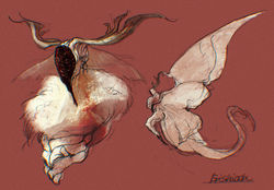 Sketch
