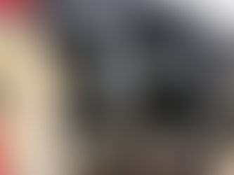 Inner Pannier Liners