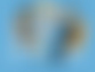 What is the Multiple Mini Interview (MMI)? By Onkar Sandhu