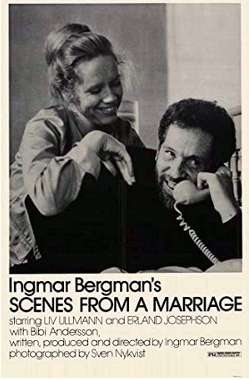 Dr. Wostenberg's World of Cinema Reviews: Scenes From A Marriage