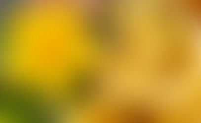 Casca de banana: um reforço natural para as plantas!