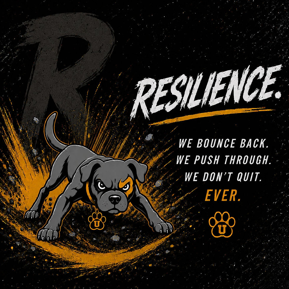 UNDERDOGG - Resilience jpg.jpg