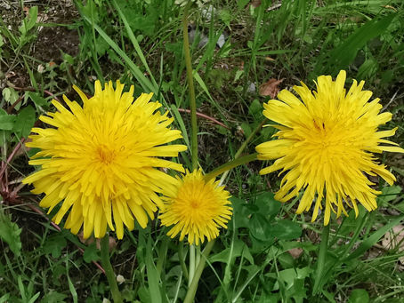Tag 11 - von Rüeggisberg nach Guggisberg