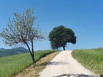 Tag 8 - Poggio San Vicino - Cupramontana
