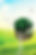 Untitled_cleanup.png