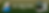 Susan Henley_header.png