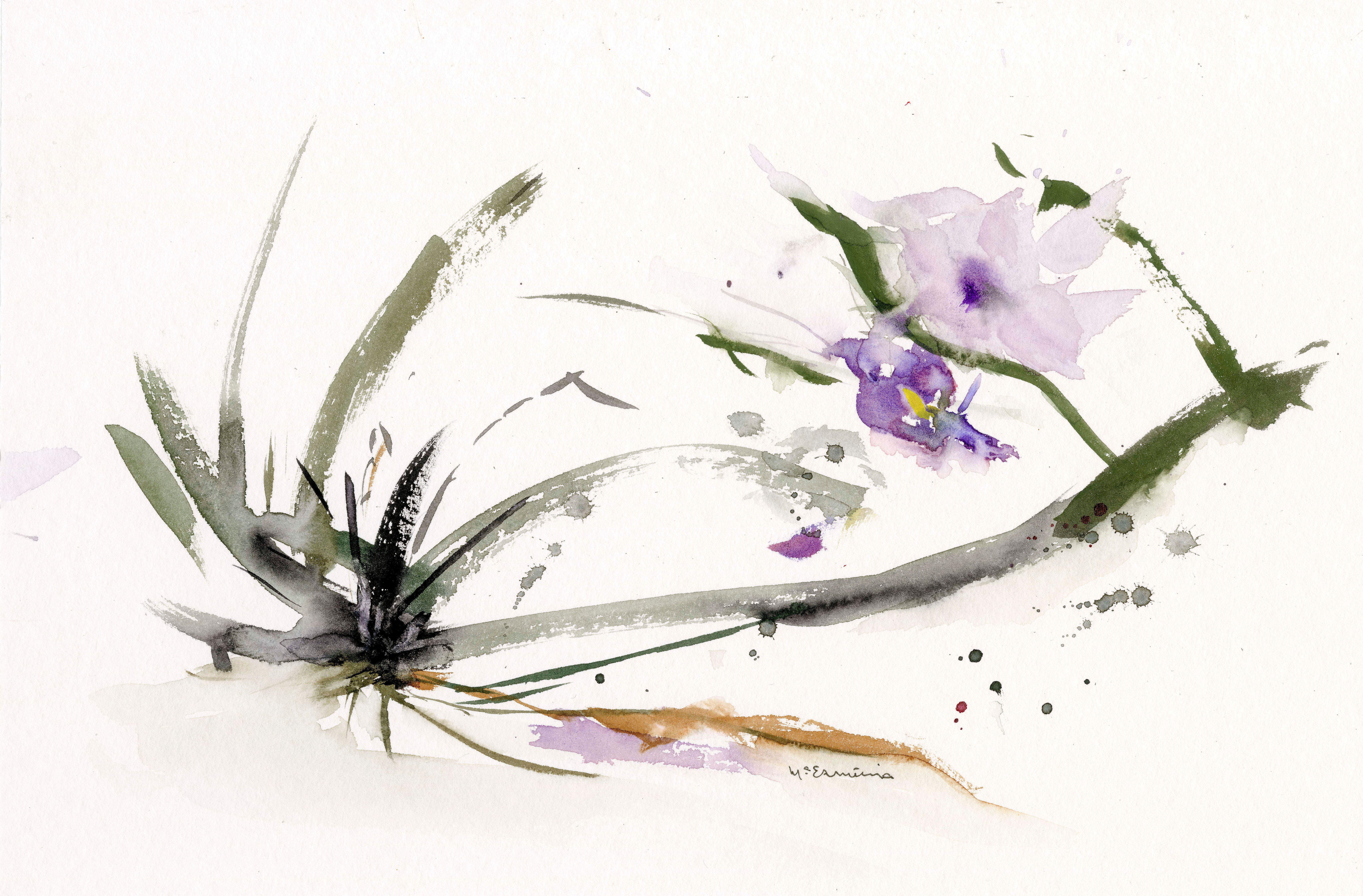 Orquídea Olho de Boneca I