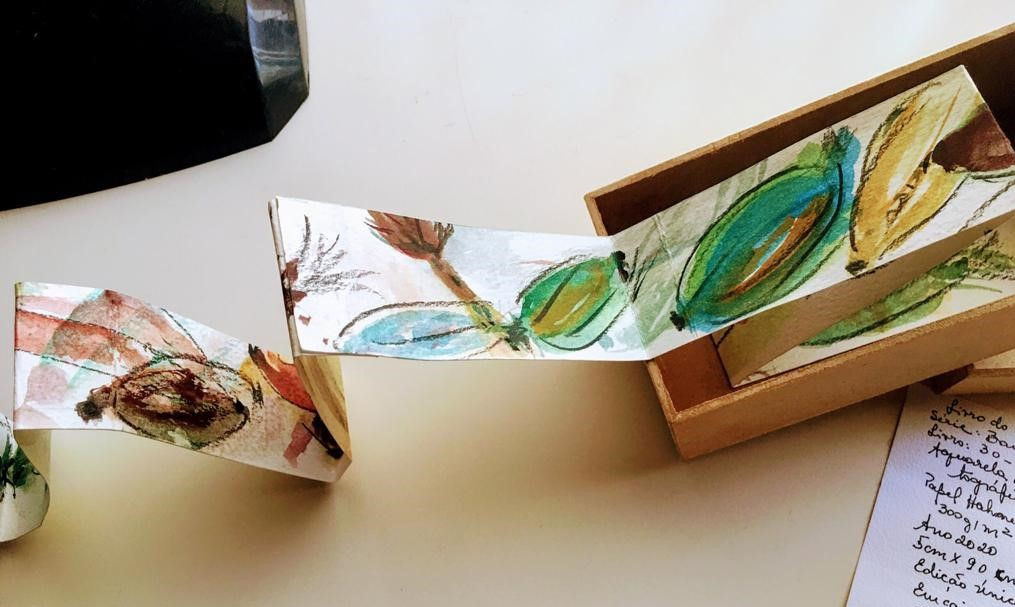 Livro 30: Álbum Leporello