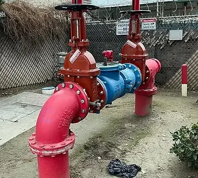 homepage image banner.webp