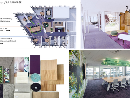 Conception workplace biophilique
